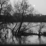 hochwasser_rhein