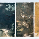 browds_veraliesmann_55x35cm_website