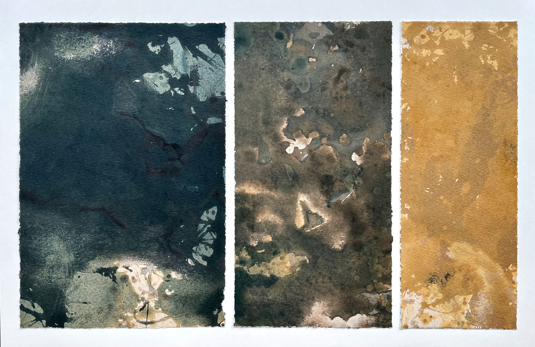 browds_veraliesmann_55x35cm_website